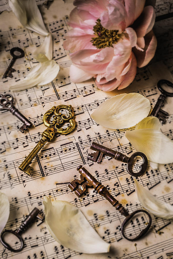 Peony With old Keys Photograph by Garry Gay
