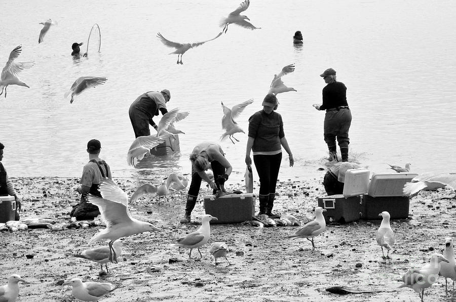 People and Birds Against Fish  2 Photograph by Tatyana Searcy