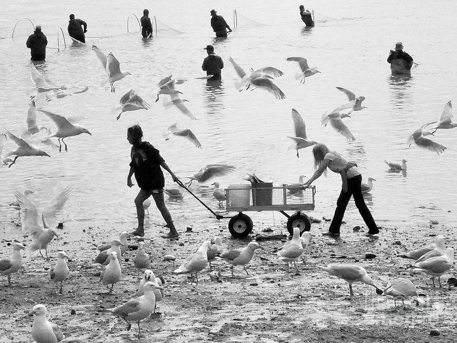 People and Birds Against Fish  3 Photograph by Tatyana Searcy