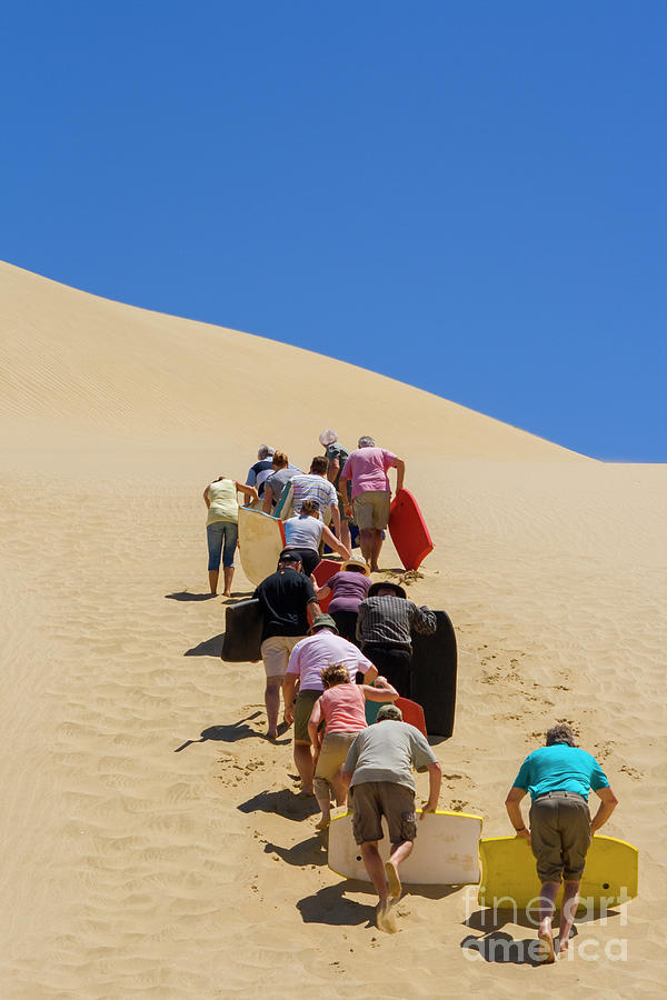People pushing sandboards up the dune Photograph by Patricia Hofmeester