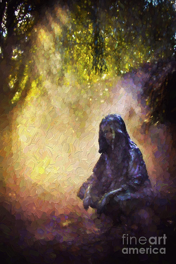 PeopleSpiritual Cave Photograph by Feryal Faye Berber Fine Art America