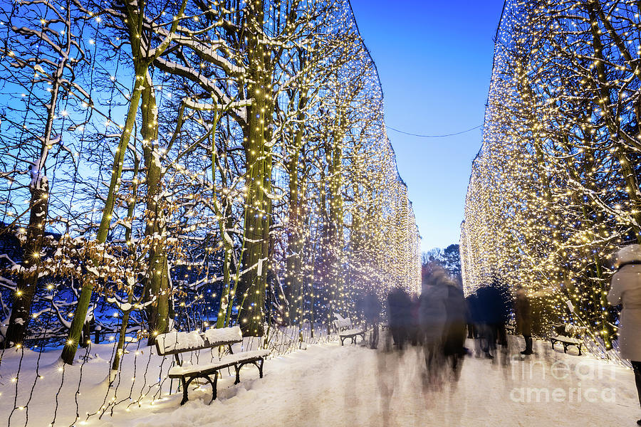 People walking in winter park decorated with lights. Park Oliwsk Photograph by Michal Bednarek
