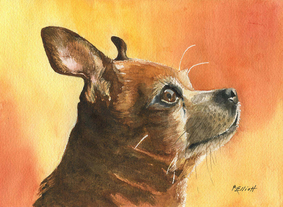 Dog Painting - Pepe by Marsha Elliott