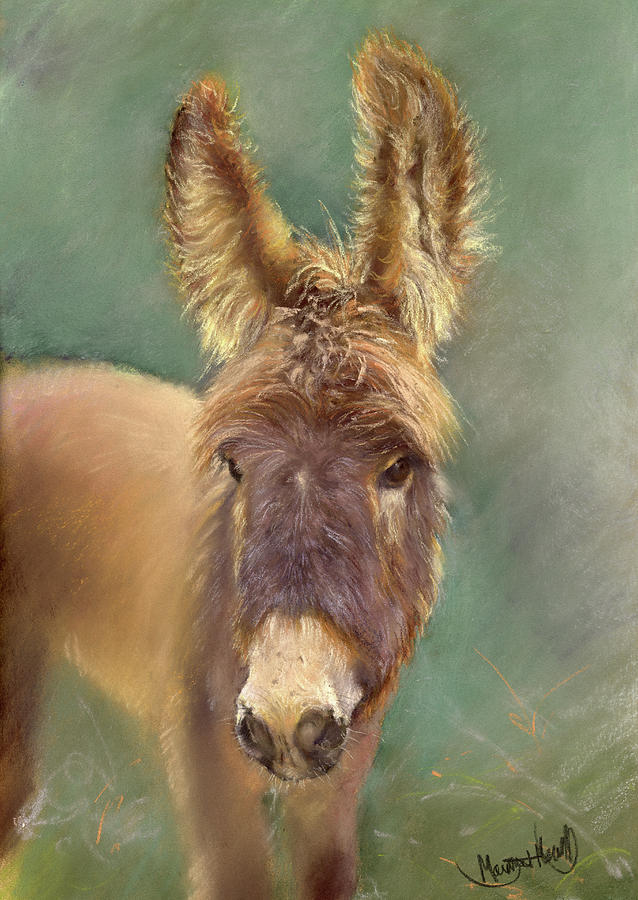 Pepe The Donkey Painting by Margaret Merry
