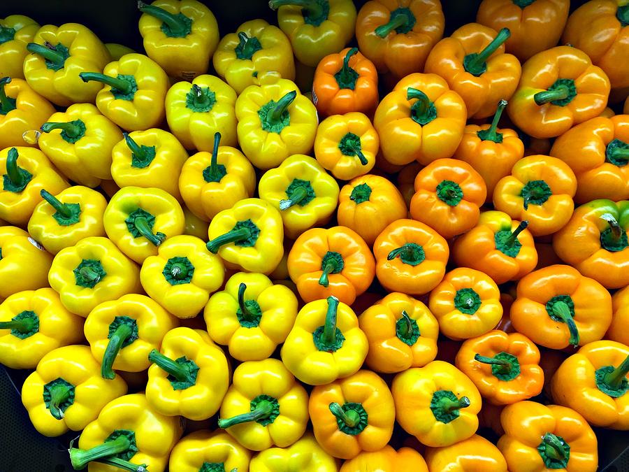 Fruit Photograph - Pepper A Plenty by Peggy Stokes