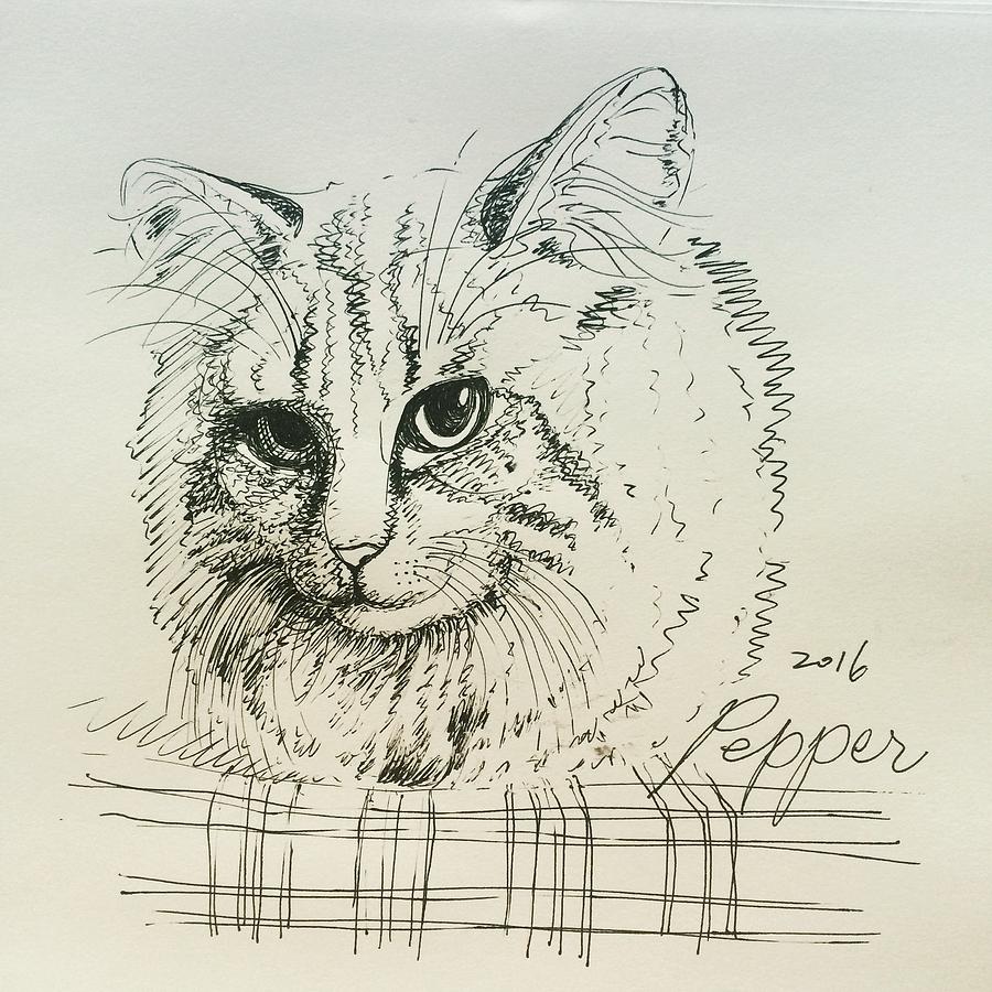 Pepper Drawing