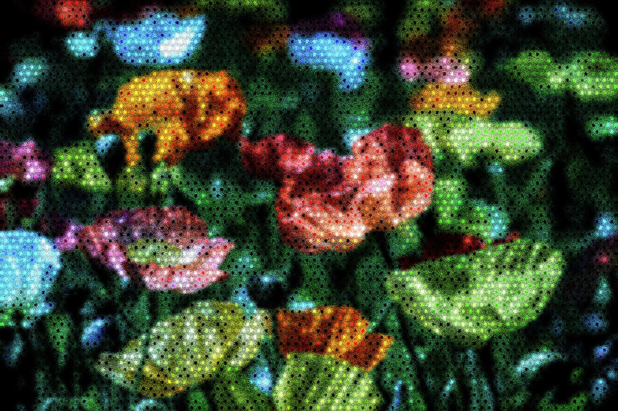 Flower Digital Art - Peppered Blossom Beauties by Carol Crisafi