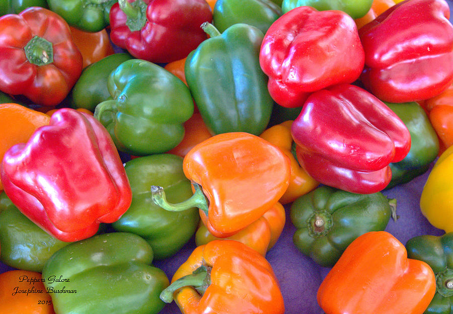 Peppers Galore  5106 Photograph by Josephine Buschman