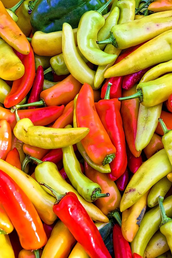 Peppers Galore Photograph by Alice Gipson
