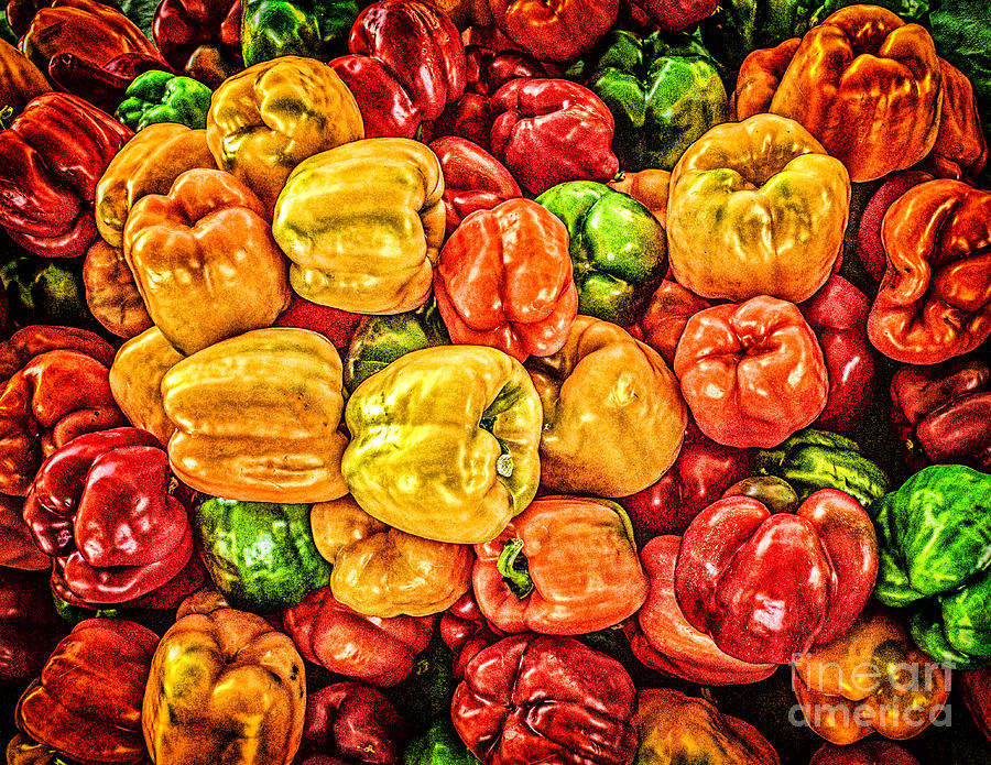 Peppers Galore Photograph by Nick Zelinsky Jr