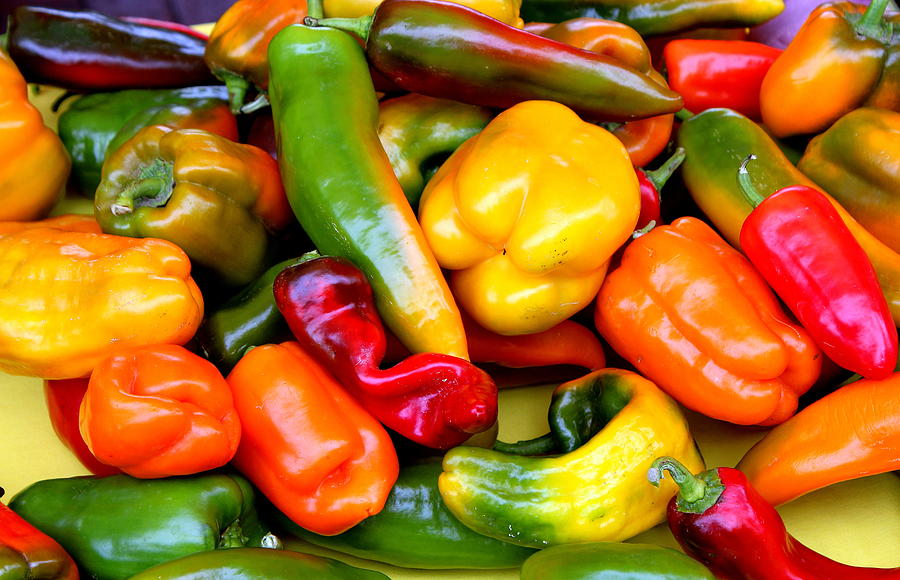 Peppers Galore Photograph Photograph by Kimberly Walker