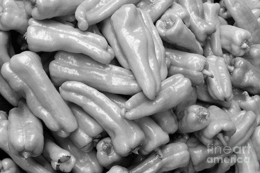 Peppers in Black and White Photograph by Robert Wilder Jr