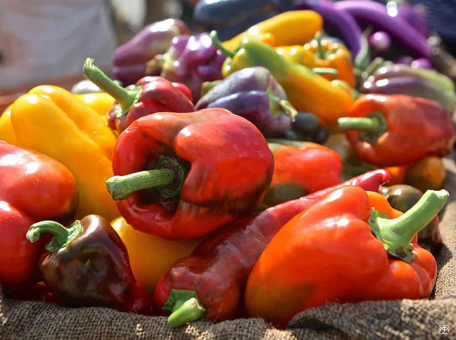 Peppers Photograph by John Meader