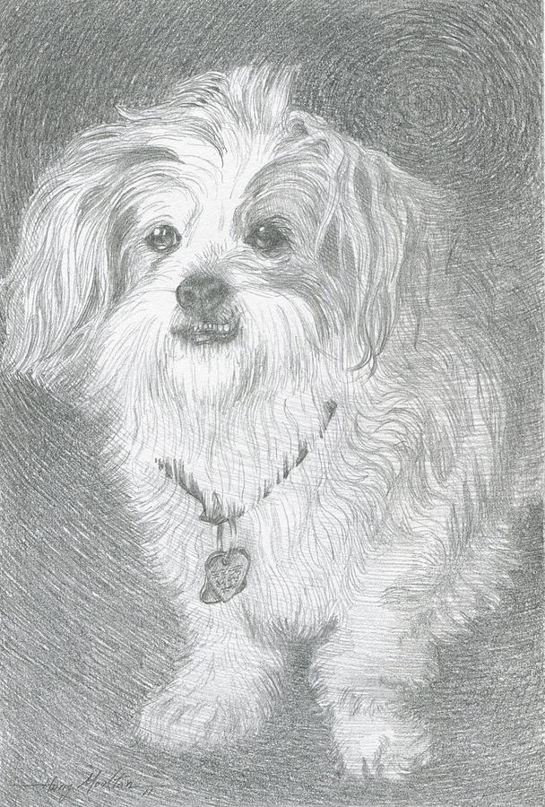 Peppi Drawing by Harry Moulton