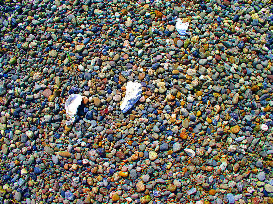 Beach Photograph - Pepples on the beach by Valerie Josi Beach Photograph - Pepples on the beach by Valerie Josi