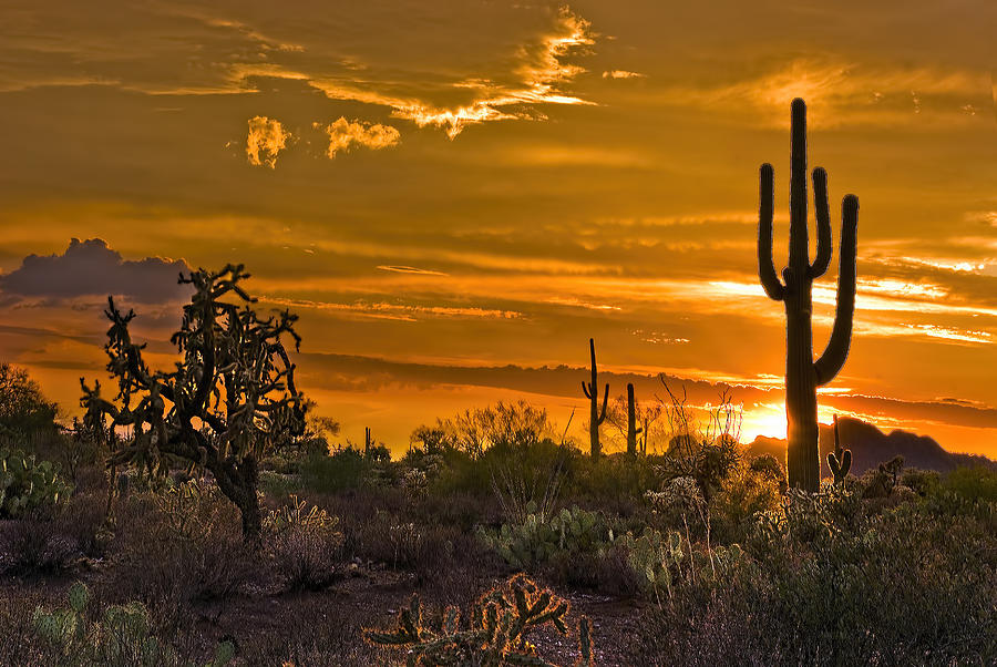 Peralta Arizona Sunset Photograph by Dave Dilli