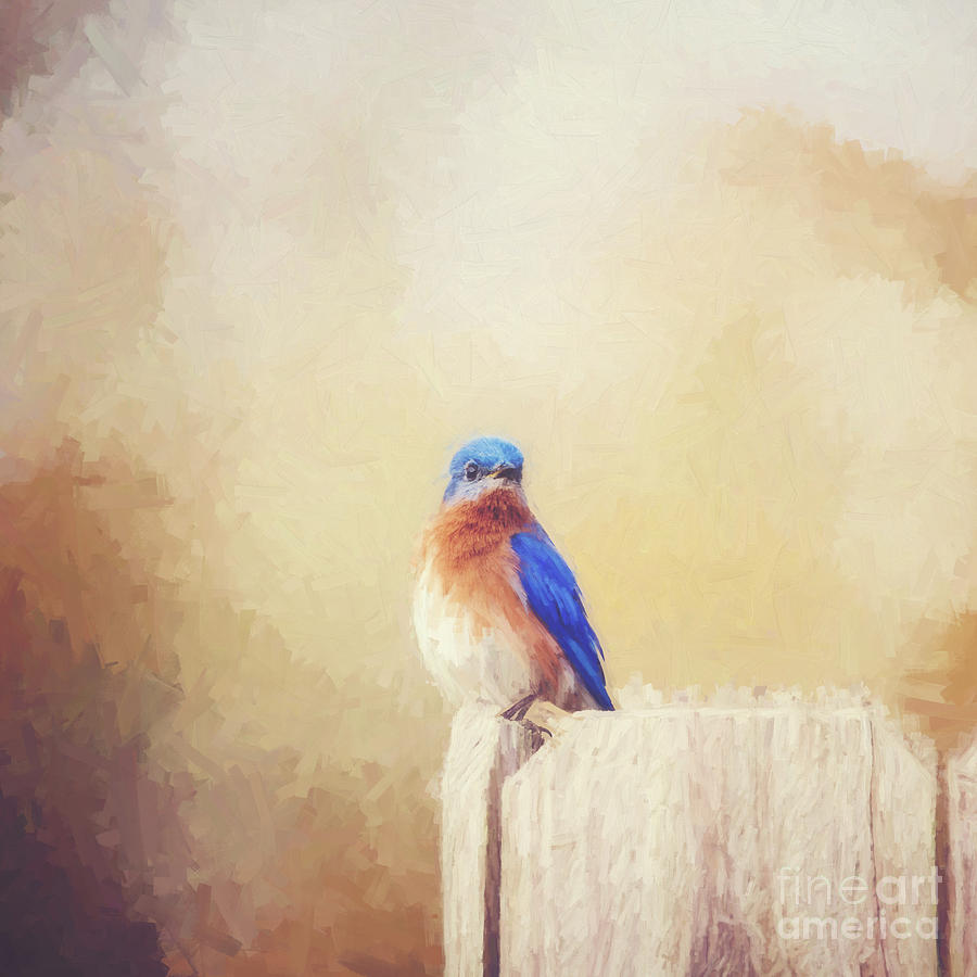 Nature Photograph - Perched and Pretty - digital painting square by Scott Pellegrin