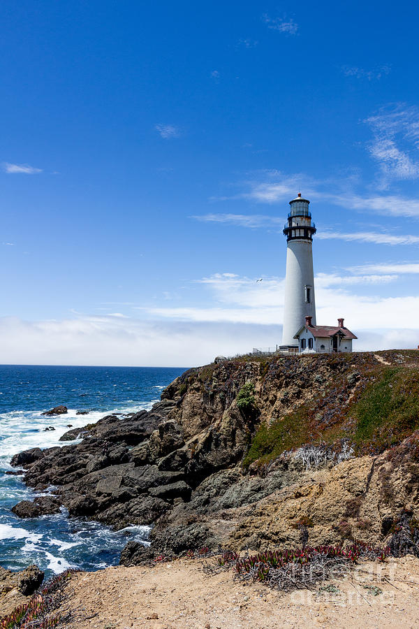 Perched Atop Photograph by DJ Laughlin - Fine Art America