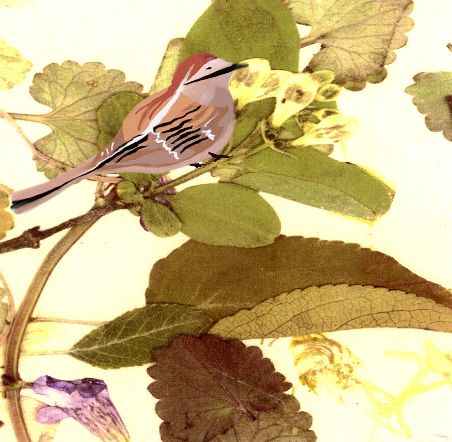Bird Painting - Perched by Belinda Threeths