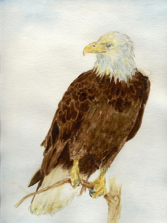 Perched Eagle Painting by Andrew Gillette