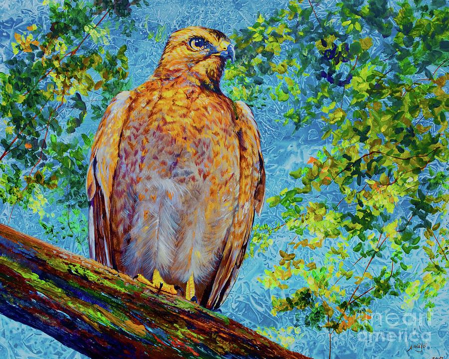 Perched Hawk Painting by AnnaJo Vahle