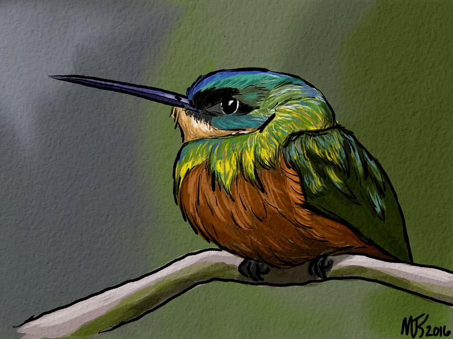 Perched Hummingbird  Digital Art by Michael Kallstrom