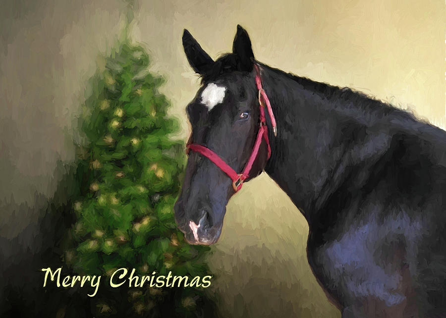 Percheron at Christmas Digital Art by Jayne Wilson