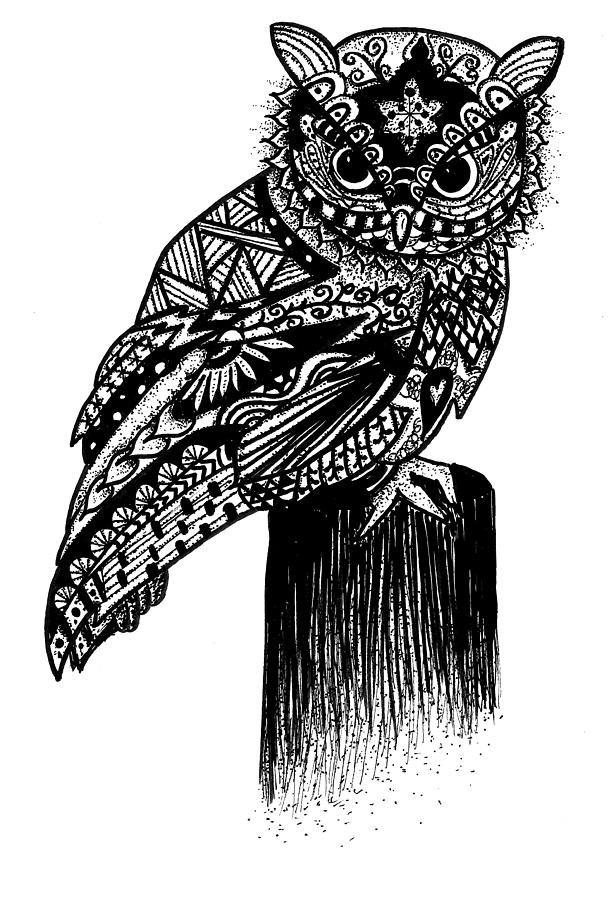 Animal Drawing - Perching Owl by Kelly Atkinson
