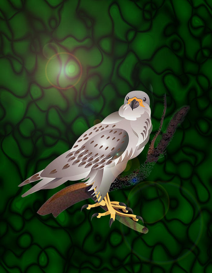 Hawk Digital Art - Peregrine Falcon by Richard Gage
