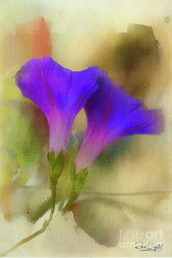 Perennially Purple Photograph by Rene Crystal