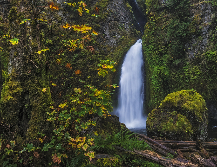 Nature Photograph - Perfect Autumn Waterfall by Loree Johnson