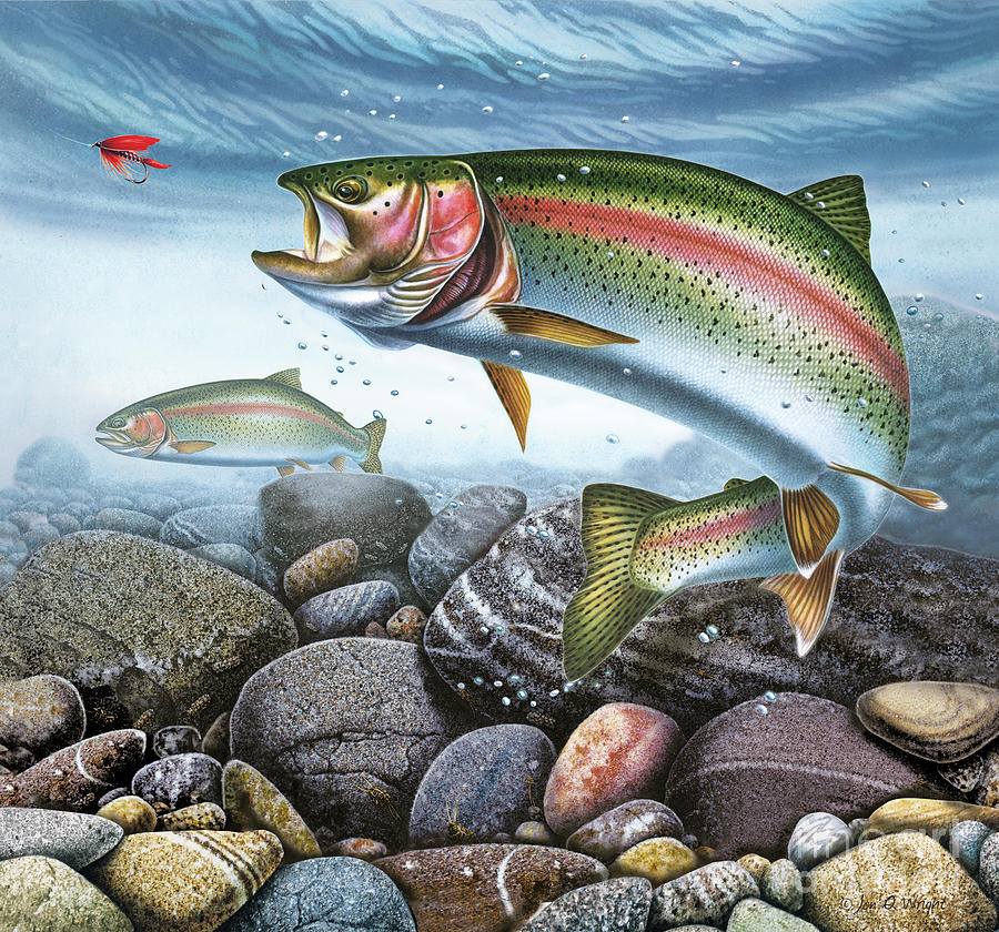 Rainbow Trout Painting - Perfect Drift Rainbow Trout by JQ Licensing