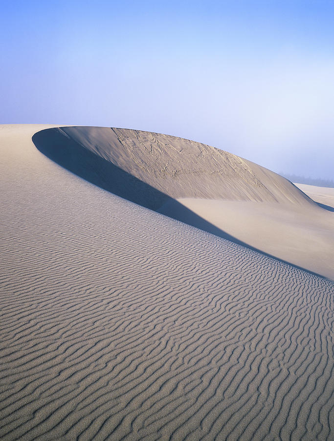 Perfect Dune Photograph by Robert Potts