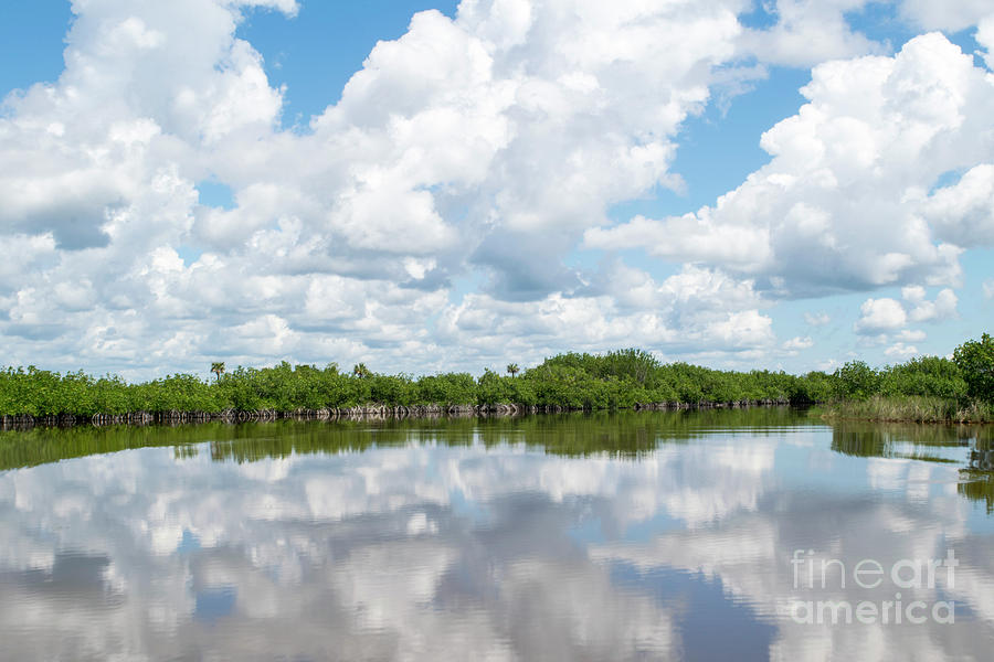 Perfect Everglades Day Photograph by Linda Steele