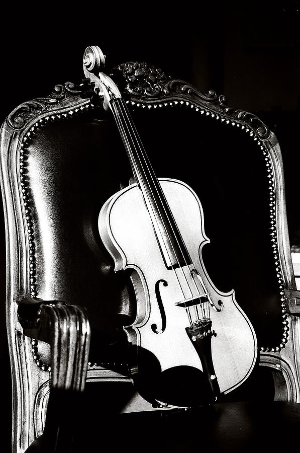 Violin Photograph - Perfect Fifths by Karian  Galustyan