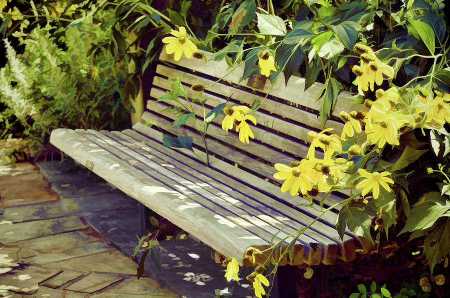 Perfect Garden Bench With Cone Flowers Photograph by Sandi OReilly