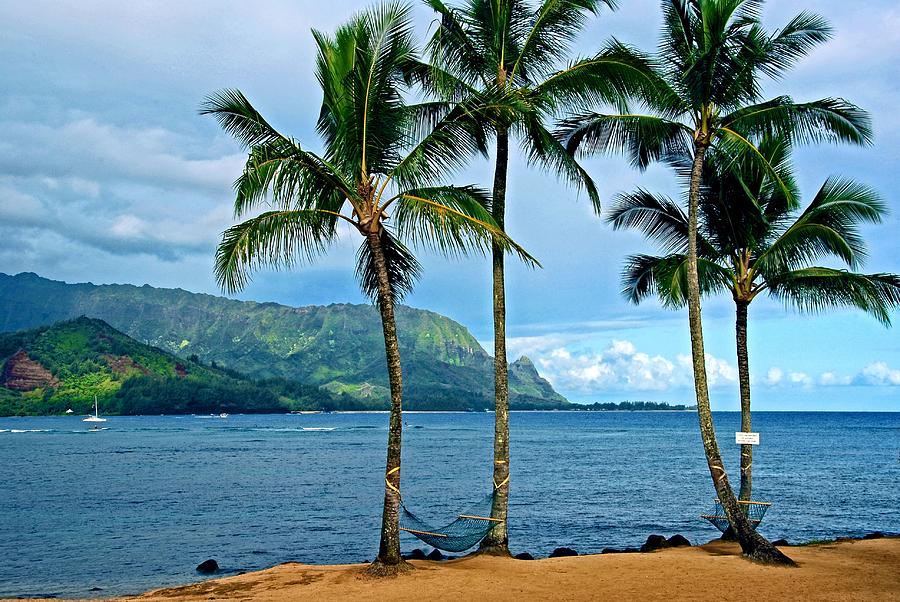 Tropical Landscapes Photograph - Perfect Hang Out by Lynn Bauer