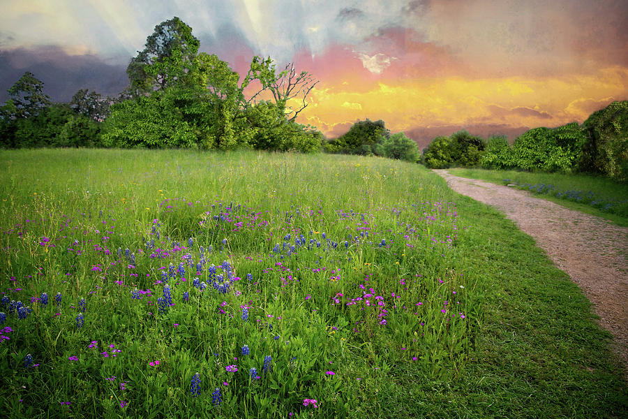 Perfect Pathway Along the Brazos Photograph by Lynn Bauer