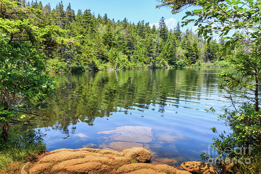 Perfect Penobscot Pond Photograph by Elizabeth Dow