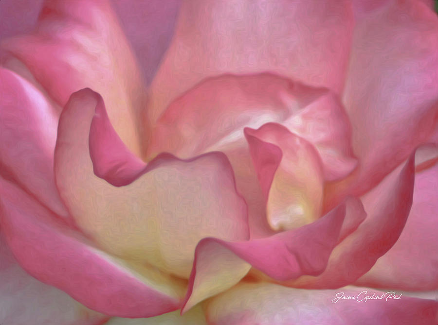 Rose Photograph - Pink Rose Petals by Joann Copeland-Paul