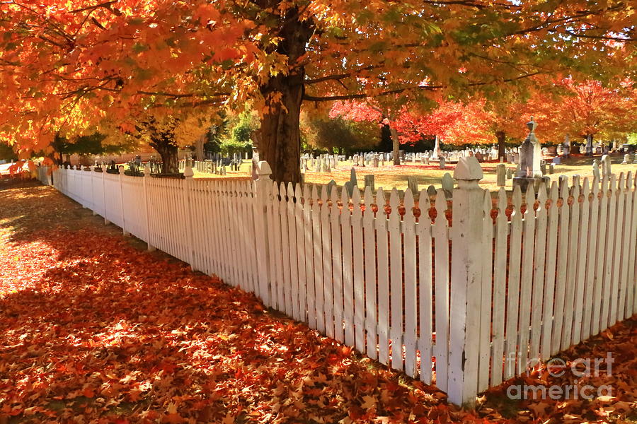 Perfect Picket Fence Photograph by Elizabeth Dow