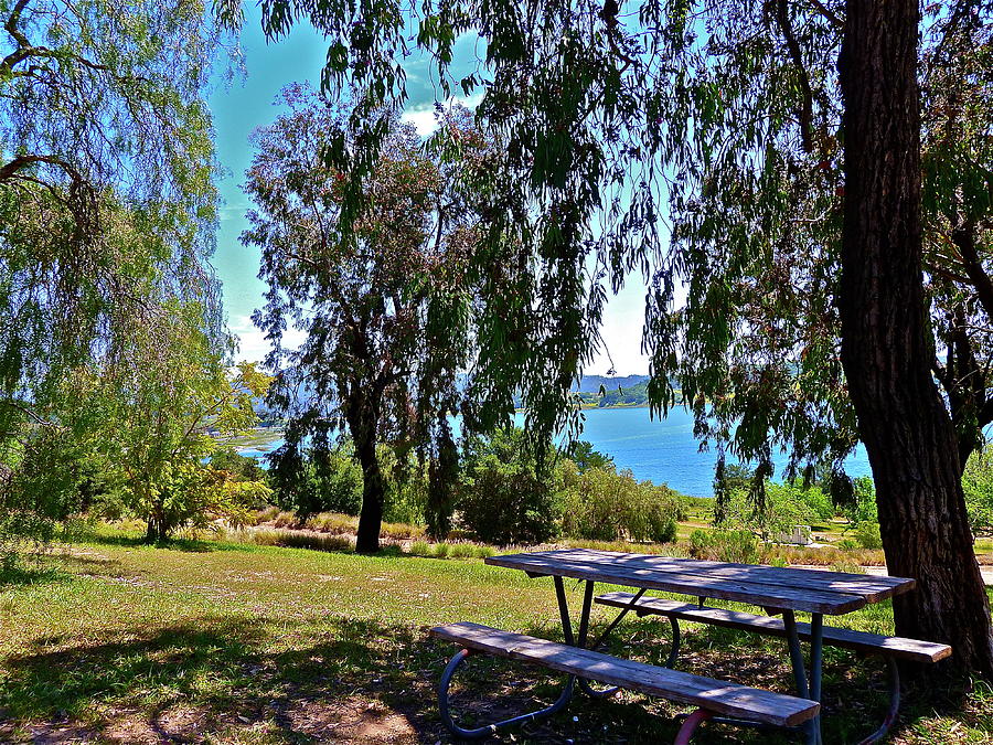 Perfect Picnic Place Photograph by Diana Hatcher