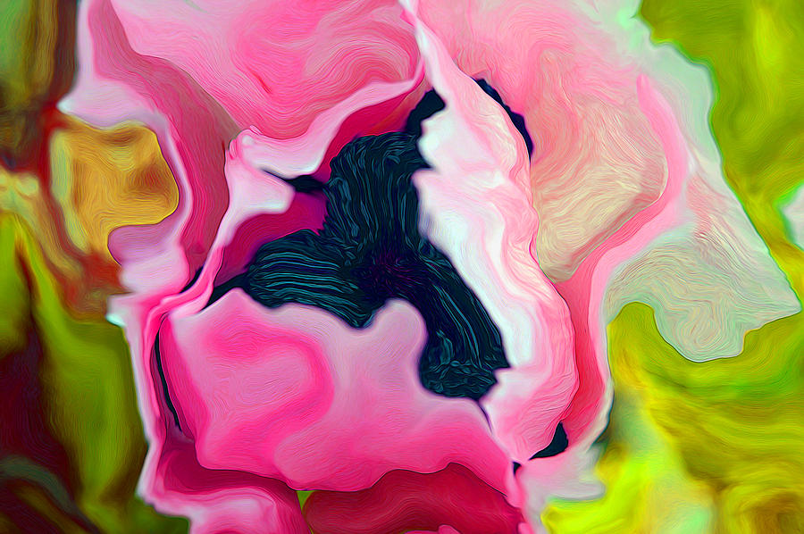 Perfect Poppy Digital Art by Lynellen Nielsen