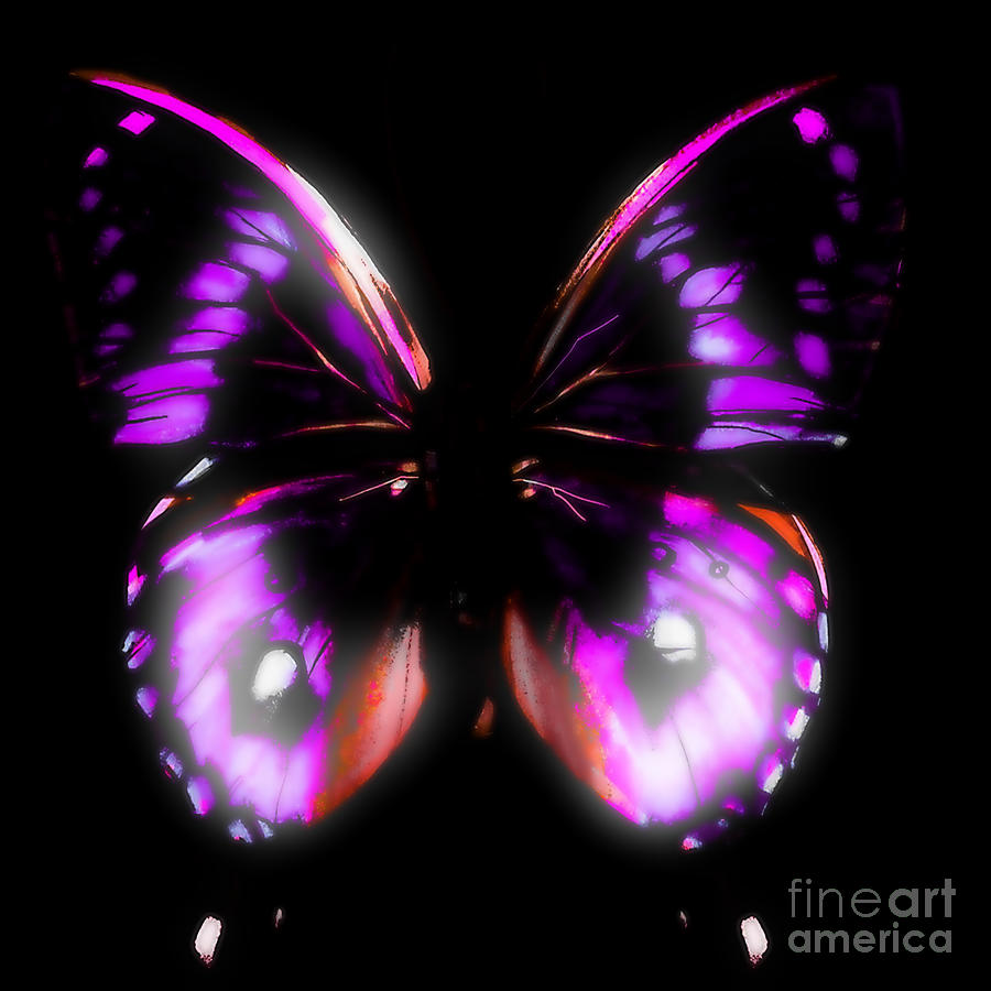 Orange Digital Art - Perfect Purple Butterfly by Gayle Price Thomas
