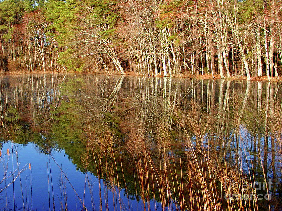 Fall Photograph - Perfect Reflection by Marvin Averett