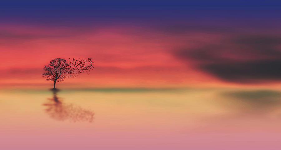 Perfect Serenity Digital Art by Mountain Dreams - Fine Art America