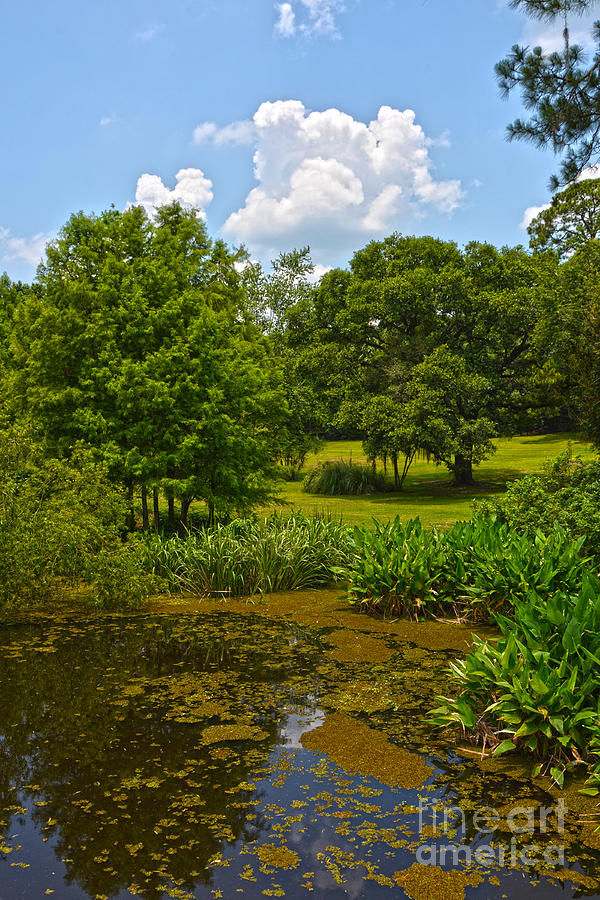 Perfect Setting Photograph by Christine Dekkers - Fine Art America