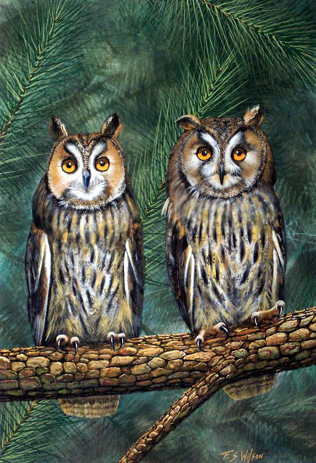 Wildlife Painting - Perfect Strangers by Frank Wilson