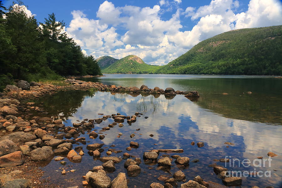Perfect Summer Day In Acadia Photograph