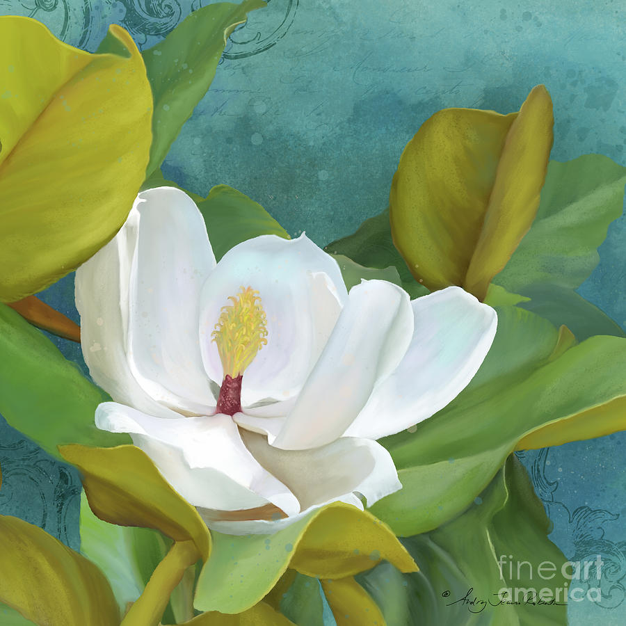 Perfection - Magnolia Blossom Floral Painting by Audrey Jeanne Roberts